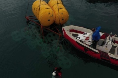 PHOTO-2021-02-17-20-40-22_2