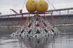 PHOTO-2021-02-17-20-40-22_3