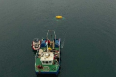 PHOTO-2021-02-17-20-40-23_1