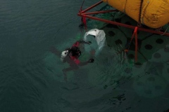 PHOTO-2021-02-17-20-40-23_2