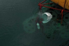 PHOTO-2021-02-17-20-40-23_3