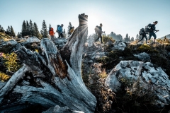 HL_1_Predrag-Vuckovic