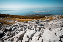 HL_3_Predrag-Vuckovic