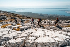 HL_4_Predrag-Vuckovic