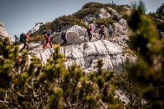 HL_6_Bogdan-Kosanovic