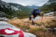 HL_9_Bogdan-Kosanovic