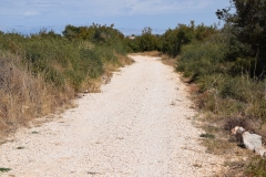 308507962_442547591304835_3084626841114302046_n