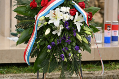 IVA_4584