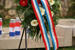 IVA_4586