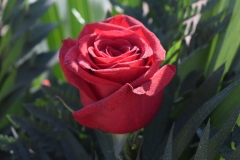 386248326_665839205642338_1985279920928372668_n