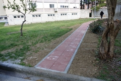 DSC00288