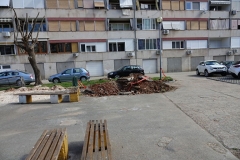 DSC00294