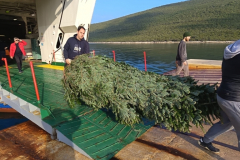 2ed32f37-4f07-4dc7-867f-3601f4bc8efa