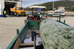 5904ad56-1fea-471d-8241-85afcaf33aad