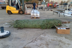 a174202c-9c76-4432-9741-b2ae028483901