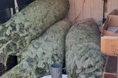 a4e0a8e4-1671-4260-a3f7-2d1ecb37e4bc