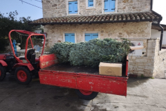 f4c085fc-befc-4fc2-9774-6d789b26664e