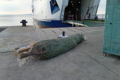 f81d2f4a-96d0-49b7-8f89-67b976448181