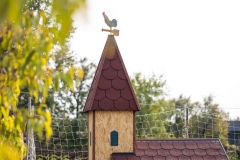 Kokingrad-je-grad-za-pernate-zivotinje