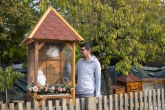 Na-imanju-ima-i-golubova