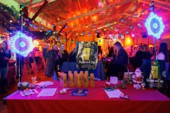 DJ-Ante-Dujic-Bozicni-gramofon-03.12.2025-foto-Bojan-Bogdanic-09.jpg_1600x1067