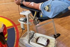 dobr.davanje-krvi-1-1