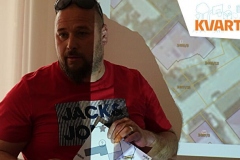 kvartipo-zadar-maslina1