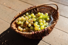 08-Zadar-Meat-Me-2.0-3.-dan-20.10.2021-Photo-by-Bojan-Bogdanic