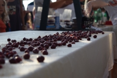 357396231_832326761642157_6716965672779046969_n