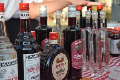 357714180_832326104975556_3696217621996775649_n