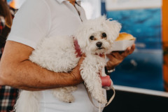 15-Tuna-Sushi-Wine-Festival-7.4.2024-jutro-Foto-Matija-Lipar