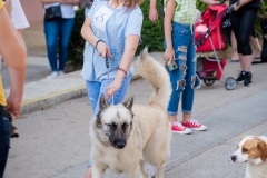 Njuska_godine_11_06_21-51-of-82