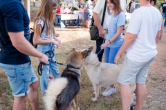 Njuska_godine_11_06_21-79-of-82