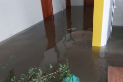 6f96a874-0dd3-427a-8d57-2db99de01e54