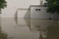 8e0f1a93-ff48-4fc2-95c3-7cd23a290f9d