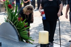 danopcinepolicnik22-0329