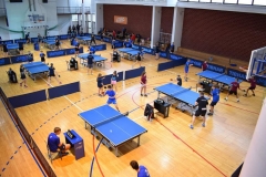 FB_IMG_1665332131906