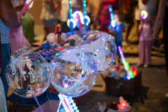DSC09656