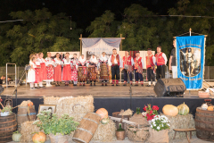 oj_poljica_moje_selo_malo-250726-Foto-Lucija-Adzic-79