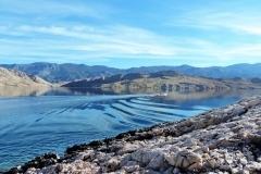 321829462_480359117364710_8171703416570699278_n