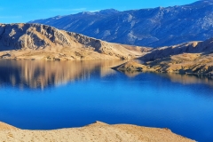 322404690_1213969202888341_5200306862075125846_n