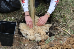 338746068_686563086811997_1770496370024383517_n