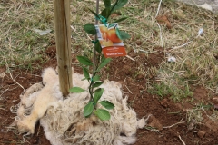 339255074_3432196277032969_5412094300834412981_n