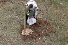 339300198_561870072420761_1747721067846967394_n