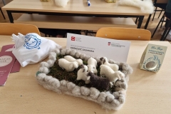 339311505_5842819942511963_1435986753279850680_n