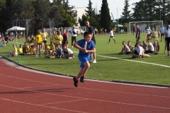 IMG_5242_resize
