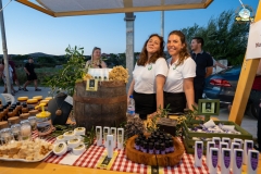 296567620_2226488664198625_8765255040334798550_n