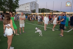 296902555_2226486947532130_2975114099450253803_n