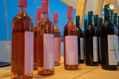 296935514_2226489360865222_1629503889146631993_n