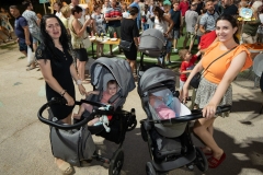 297080383_2226487184198773_563447103955689680_n